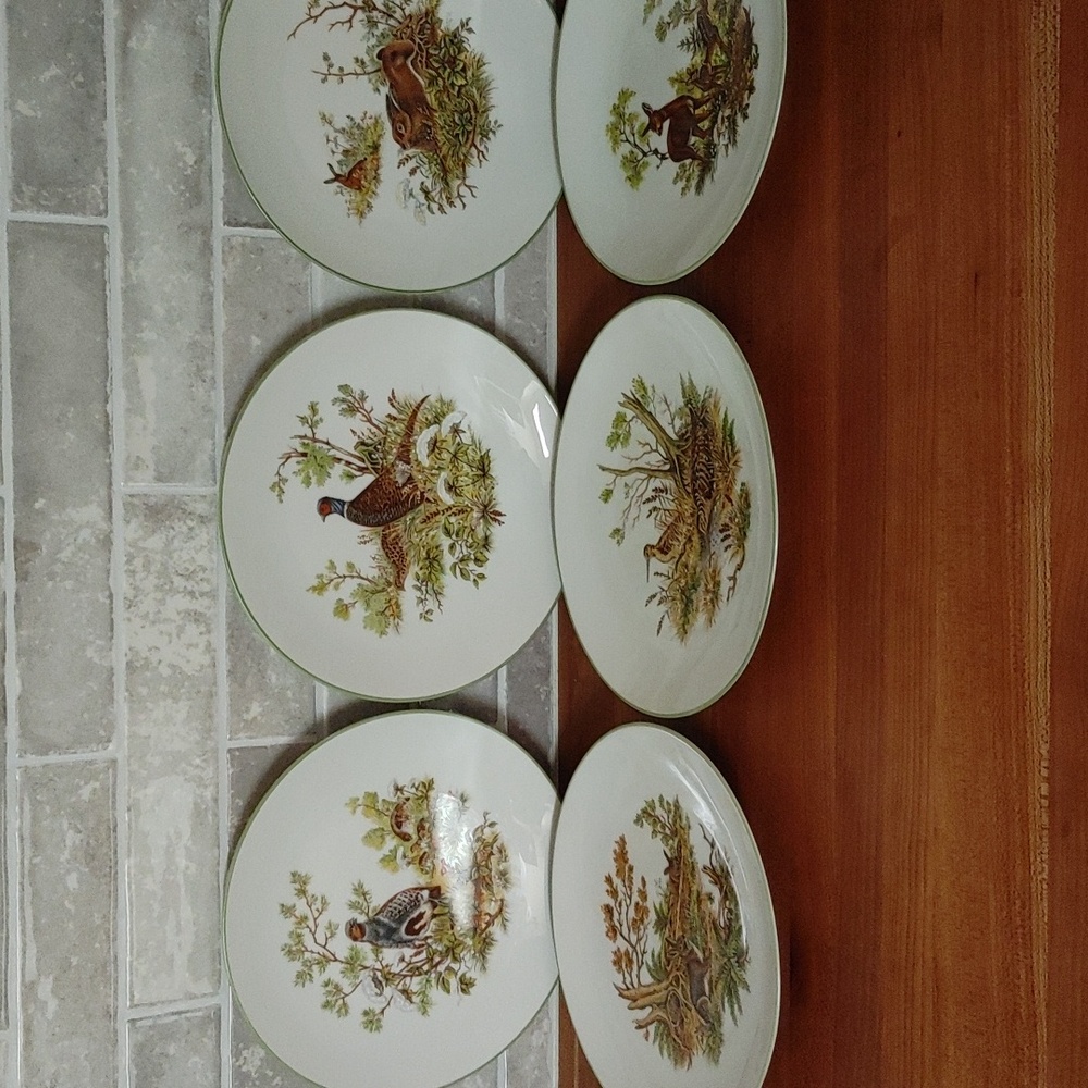 6 Bareuther Waldsassen Wildlife Transferware Porcelain Luncheon Plates